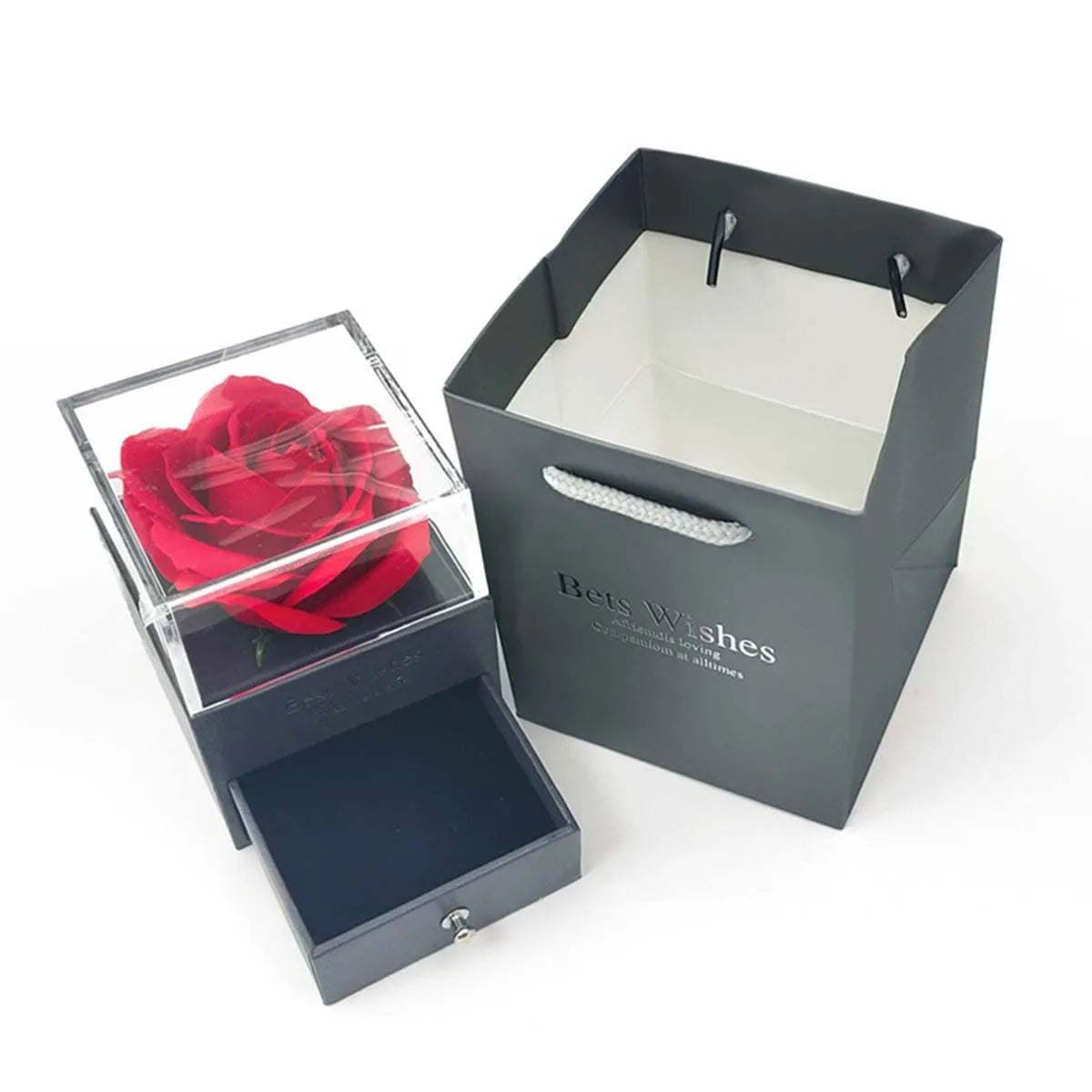 Eternal Love: Zircon Necklace & Preserved Flower Gift Set