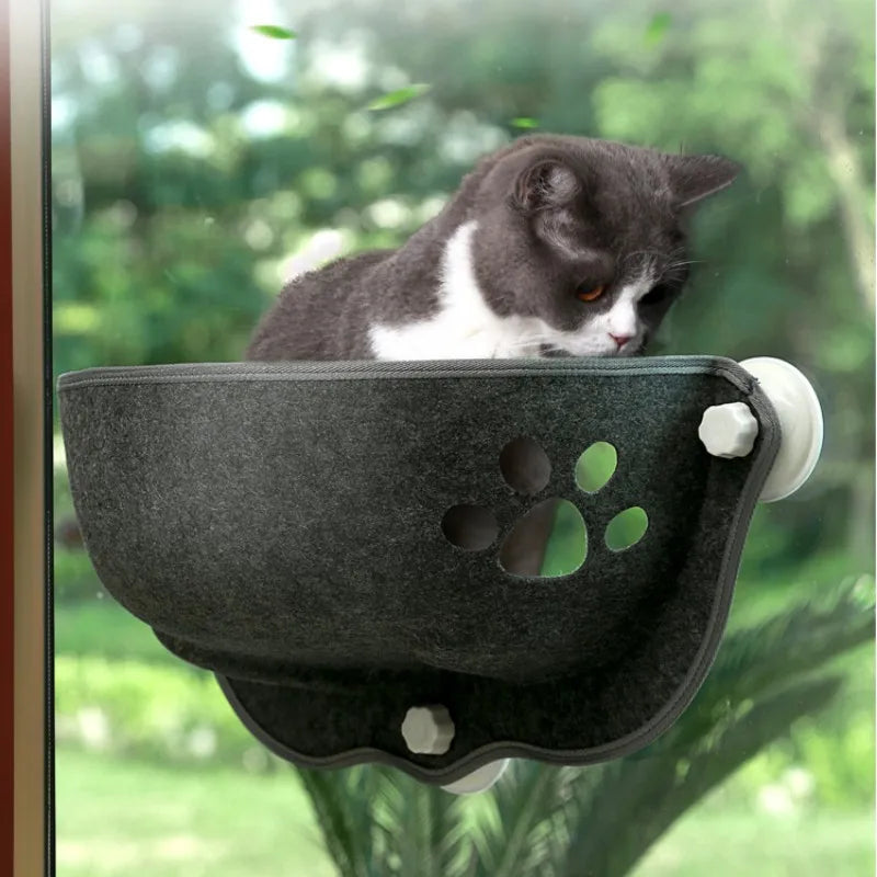 Sunny Seat: Window Hammock for Cats