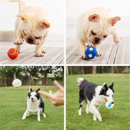 Pelota chirriante SoftBounce 